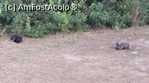 [P12] Pe malul lacului din Koukounaries, Skiathos » foto by vlado2
 - 
<span class="allrVoted glyphicon glyphicon-heart hidden" id="av1521982"></span>
<a class="m-l-10 hidden" id="sv1521982" onclick="voting_Foto_DelVot(,1521982,1166)" role="button">șterge vot <span class="glyphicon glyphicon-remove"></span></a>
<a id="v91521982" class=" c-red"  onclick="voting_Foto_SetVot(1521982)" role="button"><span class="glyphicon glyphicon-heart-empty"></span> <b>LIKE</b> = Votează poza</a> <img class="hidden"  id="f1521982W9" src="/imagini/loader.gif" border="0" /><span class="AjErrMes hidden" id="e1521982ErM"></span>