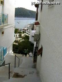 [P11] Străduţă din Skiathos Town. » foto by Aqvila
 - 
<span class="allrVoted glyphicon glyphicon-heart hidden" id="av303130"></span>
<a class="m-l-10 hidden" id="sv303130" onclick="voting_Foto_DelVot(,303130,1166)" role="button">șterge vot <span class="glyphicon glyphicon-remove"></span></a>
<a id="v9303130" class=" c-red"  onclick="voting_Foto_SetVot(303130)" role="button"><span class="glyphicon glyphicon-heart-empty"></span> <b>LIKE</b> = Votează poza</a> <img class="hidden"  id="f303130W9" src="/imagini/loader.gif" border="0" /><span class="AjErrMes hidden" id="e303130ErM"></span>