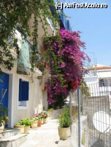 [P14] Cam la atât se reduce o curte în Skiathos Town. » foto by Aqvila
 - 
<span class="allrVoted glyphicon glyphicon-heart hidden" id="av303135"></span>
<a class="m-l-10 hidden" id="sv303135" onclick="voting_Foto_DelVot(,303135,1166)" role="button">șterge vot <span class="glyphicon glyphicon-remove"></span></a>
<a id="v9303135" class=" c-red"  onclick="voting_Foto_SetVot(303135)" role="button"><span class="glyphicon glyphicon-heart-empty"></span> <b>LIKE</b> = Votează poza</a> <img class="hidden"  id="f303135W9" src="/imagini/loader.gif" border="0" /><span class="AjErrMes hidden" id="e303135ErM"></span>