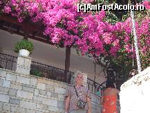 [P21] case şi flori pe Skiathos » foto by mirelopodu*
 - 
<span class="allrVoted glyphicon glyphicon-heart hidden" id="av35939"></span>
<a class="m-l-10 hidden" id="sv35939" onclick="voting_Foto_DelVot(,35939,1166)" role="button">șterge vot <span class="glyphicon glyphicon-remove"></span></a>
<a id="v935939" class=" c-red"  onclick="voting_Foto_SetVot(35939)" role="button"><span class="glyphicon glyphicon-heart-empty"></span> <b>LIKE</b> = Votează poza</a> <img class="hidden"  id="f35939W9" src="/imagini/loader.gif" border="0" /><span class="AjErrMes hidden" id="e35939ErM"></span>