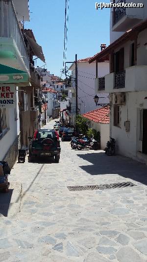 [P51] Skiathos Town » foto by Cris
 - 
<span class="allrVoted glyphicon glyphicon-heart hidden" id="av627136"></span>
<a class="m-l-10 hidden" id="sv627136" onclick="voting_Foto_DelVot(,627136,1166)" role="button">șterge vot <span class="glyphicon glyphicon-remove"></span></a>
<a id="v9627136" class=" c-red"  onclick="voting_Foto_SetVot(627136)" role="button"><span class="glyphicon glyphicon-heart-empty"></span> <b>LIKE</b> = Votează poza</a> <img class="hidden"  id="f627136W9" src="/imagini/loader.gif" border="0" /><span class="AjErrMes hidden" id="e627136ErM"></span>