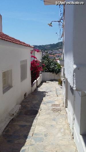 [P52] Skiathos Town » foto by Cris
 - 
<span class="allrVoted glyphicon glyphicon-heart hidden" id="av627138"></span>
<a class="m-l-10 hidden" id="sv627138" onclick="voting_Foto_DelVot(,627138,1166)" role="button">șterge vot <span class="glyphicon glyphicon-remove"></span></a>
<a id="v9627138" class=" c-red"  onclick="voting_Foto_SetVot(627138)" role="button"><span class="glyphicon glyphicon-heart-empty"></span> <b>LIKE</b> = Votează poza</a> <img class="hidden"  id="f627138W9" src="/imagini/loader.gif" border="0" /><span class="AjErrMes hidden" id="e627138ErM"></span>