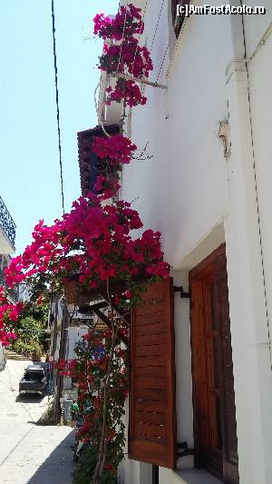 [P53] Skiathos Town » foto by Cris
 - 
<span class="allrVoted glyphicon glyphicon-heart hidden" id="av627140"></span>
<a class="m-l-10 hidden" id="sv627140" onclick="voting_Foto_DelVot(,627140,1166)" role="button">șterge vot <span class="glyphicon glyphicon-remove"></span></a>
<a id="v9627140" class=" c-red"  onclick="voting_Foto_SetVot(627140)" role="button"><span class="glyphicon glyphicon-heart-empty"></span> <b>LIKE</b> = Votează poza</a> <img class="hidden"  id="f627140W9" src="/imagini/loader.gif" border="0" /><span class="AjErrMes hidden" id="e627140ErM"></span>
