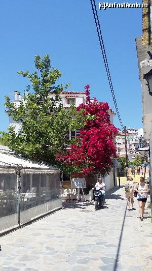 [P57] Skiathos Town » foto by Cris
 - 
<span class="allrVoted glyphicon glyphicon-heart hidden" id="av627145"></span>
<a class="m-l-10 hidden" id="sv627145" onclick="voting_Foto_DelVot(,627145,1166)" role="button">șterge vot <span class="glyphicon glyphicon-remove"></span></a>
<a id="v9627145" class=" c-red"  onclick="voting_Foto_SetVot(627145)" role="button"><span class="glyphicon glyphicon-heart-empty"></span> <b>LIKE</b> = Votează poza</a> <img class="hidden"  id="f627145W9" src="/imagini/loader.gif" border="0" /><span class="AjErrMes hidden" id="e627145ErM"></span>