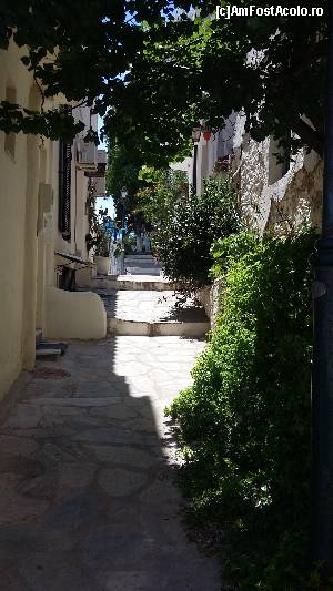 [P70] Skiathos Town » foto by Cris
 - 
<span class="allrVoted glyphicon glyphicon-heart hidden" id="av627158"></span>
<a class="m-l-10 hidden" id="sv627158" onclick="voting_Foto_DelVot(,627158,1166)" role="button">șterge vot <span class="glyphicon glyphicon-remove"></span></a>
<a id="v9627158" class=" c-red"  onclick="voting_Foto_SetVot(627158)" role="button"><span class="glyphicon glyphicon-heart-empty"></span> <b>LIKE</b> = Votează poza</a> <img class="hidden"  id="f627158W9" src="/imagini/loader.gif" border="0" /><span class="AjErrMes hidden" id="e627158ErM"></span>
