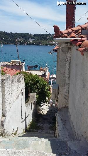 [P72] Skiathos Town » foto by Cris
 - 
<span class="allrVoted glyphicon glyphicon-heart hidden" id="av627160"></span>
<a class="m-l-10 hidden" id="sv627160" onclick="voting_Foto_DelVot(,627160,1166)" role="button">șterge vot <span class="glyphicon glyphicon-remove"></span></a>
<a id="v9627160" class=" c-red"  onclick="voting_Foto_SetVot(627160)" role="button"><span class="glyphicon glyphicon-heart-empty"></span> <b>LIKE</b> = Votează poza</a> <img class="hidden"  id="f627160W9" src="/imagini/loader.gif" border="0" /><span class="AjErrMes hidden" id="e627160ErM"></span>