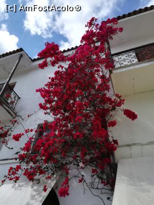 [P17] Skiathos - orașul Skiathos » foto by Cris
 - 
<span class="allrVoted glyphicon glyphicon-heart hidden" id="av865642"></span>
<a class="m-l-10 hidden" id="sv865642" onclick="voting_Foto_DelVot(,865642,1166)" role="button">șterge vot <span class="glyphicon glyphicon-remove"></span></a>
<a id="v9865642" class=" c-red"  onclick="voting_Foto_SetVot(865642)" role="button"><span class="glyphicon glyphicon-heart-empty"></span> <b>LIKE</b> = Votează poza</a> <img class="hidden"  id="f865642W9" src="/imagini/loader.gif" border="0" /><span class="AjErrMes hidden" id="e865642ErM"></span>