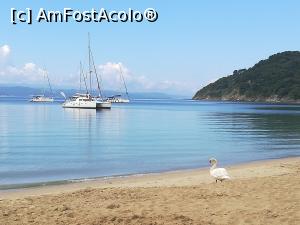 [P25] Skiathos -  plaja Koukounaries » foto by Cris
 - 
<span class="allrVoted glyphicon glyphicon-heart hidden" id="av865650"></span>
<a class="m-l-10 hidden" id="sv865650" onclick="voting_Foto_DelVot(,865650,1166)" role="button">șterge vot <span class="glyphicon glyphicon-remove"></span></a>
<a id="v9865650" class=" c-red"  onclick="voting_Foto_SetVot(865650)" role="button"><span class="glyphicon glyphicon-heart-empty"></span> <b>LIKE</b> = Votează poza</a> <img class="hidden"  id="f865650W9" src="/imagini/loader.gif" border="0" /><span class="AjErrMes hidden" id="e865650ErM"></span>