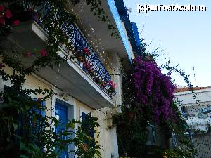 [P09] Abundenta florala a caselor din Skiathos Town » foto by ileanaxperta*
 - 
<span class="allrVoted glyphicon glyphicon-heart hidden" id="av562112"></span>
<a class="m-l-10 hidden" id="sv562112" onclick="voting_Foto_DelVot(,562112,1166)" role="button">șterge vot <span class="glyphicon glyphicon-remove"></span></a>
<a id="v9562112" class=" c-red"  onclick="voting_Foto_SetVot(562112)" role="button"><span class="glyphicon glyphicon-heart-empty"></span> <b>LIKE</b> = Votează poza</a> <img class="hidden"  id="f562112W9" src="/imagini/loader.gif" border="0" /><span class="AjErrMes hidden" id="e562112ErM"></span>