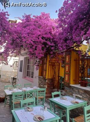 [P09] Hai-hui pe strazile din Skiathos-city. » foto by dorgo
 - 
<span class="allrVoted glyphicon glyphicon-heart hidden" id="av1455812"></span>
<a class="m-l-10 hidden" id="sv1455812" onclick="voting_Foto_DelVot(,1455812,1166)" role="button">șterge vot <span class="glyphicon glyphicon-remove"></span></a>
<a id="v91455812" class=" c-red"  onclick="voting_Foto_SetVot(1455812)" role="button"><span class="glyphicon glyphicon-heart-empty"></span> <b>LIKE</b> = Votează poza</a> <img class="hidden"  id="f1455812W9" src="/imagini/loader.gif" border="0" /><span class="AjErrMes hidden" id="e1455812ErM"></span>