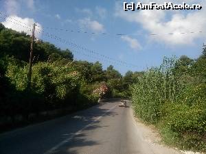 [P07] Pe soseaua Skiathos city - Koukounaries, circula impreuna atat autovehicule cat si oameni » foto by dorgo
 - 
<span class="allrVoted glyphicon glyphicon-heart hidden" id="av641285"></span>
<a class="m-l-10 hidden" id="sv641285" onclick="voting_Foto_DelVot(,641285,1166)" role="button">șterge vot <span class="glyphicon glyphicon-remove"></span></a>
<a id="v9641285" class=" c-red"  onclick="voting_Foto_SetVot(641285)" role="button"><span class="glyphicon glyphicon-heart-empty"></span> <b>LIKE</b> = Votează poza</a> <img class="hidden"  id="f641285W9" src="/imagini/loader.gif" border="0" /><span class="AjErrMes hidden" id="e641285ErM"></span>