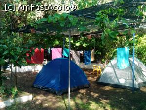[P10] Corturi proprii-4 euro/zi » foto by dorgo
 - 
<span class="allrVoted glyphicon glyphicon-heart hidden" id="av888499"></span>
<a class="m-l-10 hidden" id="sv888499" onclick="voting_Foto_DelVot(,888499,1166)" role="button">șterge vot <span class="glyphicon glyphicon-remove"></span></a>
<a id="v9888499" class=" c-red"  onclick="voting_Foto_SetVot(888499)" role="button"><span class="glyphicon glyphicon-heart-empty"></span> <b>LIKE</b> = Votează poza</a> <img class="hidden"  id="f888499W9" src="/imagini/loader.gif" border="0" /><span class="AjErrMes hidden" id="e888499ErM"></span>