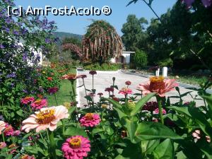 [P18] Nu departe de aeroport, e-o vila cu-o gradina superba » foto by dorgo
 - 
<span class="allrVoted glyphicon glyphicon-heart hidden" id="av890669"></span>
<a class="m-l-10 hidden" id="sv890669" onclick="voting_Foto_DelVot(,890669,1166)" role="button">șterge vot <span class="glyphicon glyphicon-remove"></span></a>
<a id="v9890669" class=" c-red"  onclick="voting_Foto_SetVot(890669)" role="button"><span class="glyphicon glyphicon-heart-empty"></span> <b>LIKE</b> = Votează poza</a> <img class="hidden"  id="f890669W9" src="/imagini/loader.gif" border="0" /><span class="AjErrMes hidden" id="e890669ErM"></span>