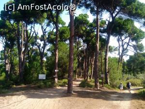 [P18] Padurea de pini " Mandraki Forest" , a devenit rezervatie naturala » foto by dorgo
 - 
<span class="allrVoted glyphicon glyphicon-heart hidden" id="av1156244"></span>
<a class="m-l-10 hidden" id="sv1156244" onclick="voting_Foto_DelVot(,1156244,1166)" role="button">șterge vot <span class="glyphicon glyphicon-remove"></span></a>
<a id="v91156244" class=" c-red"  onclick="voting_Foto_SetVot(1156244)" role="button"><span class="glyphicon glyphicon-heart-empty"></span> <b>LIKE</b> = Votează poza</a> <img class="hidden"  id="f1156244W9" src="/imagini/loader.gif" border="0" /><span class="AjErrMes hidden" id="e1156244ErM"></span>
