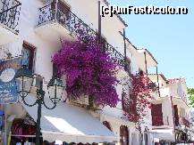 [P30] Balcon cu flori in Skiathos » foto by alexzander80
 - 
<span class="allrVoted glyphicon glyphicon-heart hidden" id="av456825"></span>
<a class="m-l-10 hidden" id="sv456825" onclick="voting_Foto_DelVot(,456825,1166)" role="button">șterge vot <span class="glyphicon glyphicon-remove"></span></a>
<a id="v9456825" class=" c-red"  onclick="voting_Foto_SetVot(456825)" role="button"><span class="glyphicon glyphicon-heart-empty"></span> <b>LIKE</b> = Votează poza</a> <img class="hidden"  id="f456825W9" src="/imagini/loader.gif" border="0" /><span class="AjErrMes hidden" id="e456825ErM"></span>