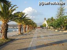 [P08] Faimoasa alee a palmierilor (vedere dinspre fortareata Bourdzi). La baza fiecarui palmier puteti vedea o chestie rotunda, cu gauri, prin care palmierii sunt udati in fiecare seara si dimineata, prin tuburi subterane. » foto by florinbad
 - 
<span class="allrVoted glyphicon glyphicon-heart hidden" id="av190954"></span>
<a class="m-l-10 hidden" id="sv190954" onclick="voting_Foto_DelVot(,190954,1167)" role="button">șterge vot <span class="glyphicon glyphicon-remove"></span></a>
<a id="v9190954" class=" c-red"  onclick="voting_Foto_SetVot(190954)" role="button"><span class="glyphicon glyphicon-heart-empty"></span> <b>LIKE</b> = Votează poza</a> <img class="hidden"  id="f190954W9" src="/imagini/loader.gif" border="0" /><span class="AjErrMes hidden" id="e190954ErM"></span>