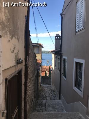 [P80] Prin Rovinj, la coborâre, vedeam marea din capătul săbiuței » foto by krisstinna
 - 
<span class="allrVoted glyphicon glyphicon-heart hidden" id="av1037399"></span>
<a class="m-l-10 hidden" id="sv1037399" onclick="voting_Foto_DelVot(,1037399,1168)" role="button">șterge vot <span class="glyphicon glyphicon-remove"></span></a>
<a id="v91037399" class=" c-red"  onclick="voting_Foto_SetVot(1037399)" role="button"><span class="glyphicon glyphicon-heart-empty"></span> <b>LIKE</b> = Votează poza</a> <img class="hidden"  id="f1037399W9" src="/imagini/loader.gif" border="0" /><span class="AjErrMes hidden" id="e1037399ErM"></span>