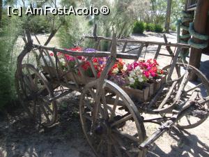 [P15] Un alt colțișor frumos amenajat, aflat în apropierea restaurantului.  » foto by Floryn81
 - 
<span class="allrVoted glyphicon glyphicon-heart hidden" id="av863166"></span>
<a class="m-l-10 hidden" id="sv863166" onclick="voting_Foto_DelVot(,863166,1172)" role="button">șterge vot <span class="glyphicon glyphicon-remove"></span></a>
<a id="v9863166" class=" c-red"  onclick="voting_Foto_SetVot(863166)" role="button"><span class="glyphicon glyphicon-heart-empty"></span> <b>LIKE</b> = Votează poza</a> <img class="hidden"  id="f863166W9" src="/imagini/loader.gif" border="0" /><span class="AjErrMes hidden" id="e863166ErM"></span>