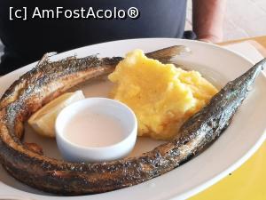 [P50] Zărgan... Yummi!...  » foto by crismis
 - 
<span class="allrVoted glyphicon glyphicon-heart hidden" id="av1137140"></span>
<a class="m-l-10 hidden" id="sv1137140" onclick="voting_Foto_DelVot(,1137140,1172)" role="button">șterge vot <span class="glyphicon glyphicon-remove"></span></a>
<a id="v91137140" class=" c-red"  onclick="voting_Foto_SetVot(1137140)" role="button"><span class="glyphicon glyphicon-heart-empty"></span> <b>LIKE</b> = Votează poza</a> <img class="hidden"  id="f1137140W9" src="/imagini/loader.gif" border="0" /><span class="AjErrMes hidden" id="e1137140ErM"></span>