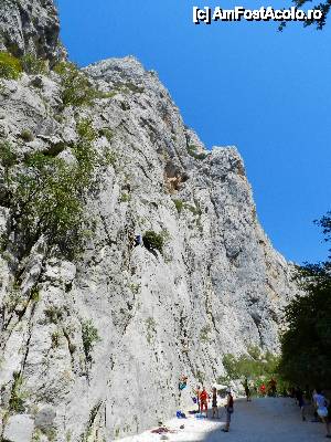 [P20] Alpinisti in Paklenica » foto by costelradescu
 - 
<span class="allrVoted glyphicon glyphicon-heart hidden" id="av410581"></span>
<a class="m-l-10 hidden" id="sv410581" onclick="voting_Foto_DelVot(,410581,1175)" role="button">șterge vot <span class="glyphicon glyphicon-remove"></span></a>
<a id="v9410581" class=" c-red"  onclick="voting_Foto_SetVot(410581)" role="button"><span class="glyphicon glyphicon-heart-empty"></span> <b>LIKE</b> = Votează poza</a> <img class="hidden"  id="f410581W9" src="/imagini/loader.gif" border="0" /><span class="AjErrMes hidden" id="e410581ErM"></span>