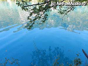 [P23] Albastru de Plitvice » foto by costelradescu
 - 
<span class="allrVoted glyphicon glyphicon-heart hidden" id="av410584"></span>
<a class="m-l-10 hidden" id="sv410584" onclick="voting_Foto_DelVot(,410584,1175)" role="button">șterge vot <span class="glyphicon glyphicon-remove"></span></a>
<a id="v9410584" class=" c-red"  onclick="voting_Foto_SetVot(410584)" role="button"><span class="glyphicon glyphicon-heart-empty"></span> <b>LIKE</b> = Votează poza</a> <img class="hidden"  id="f410584W9" src="/imagini/loader.gif" border="0" /><span class="AjErrMes hidden" id="e410584ErM"></span>