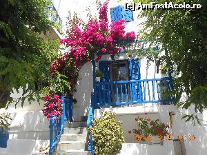 [P08] Alb, albastru și flori de bougainvillea într-un decor de poveste.  » foto by Rodel
 - 
<span class="allrVoted glyphicon glyphicon-heart hidden" id="av638529"></span>
<a class="m-l-10 hidden" id="sv638529" onclick="voting_Foto_DelVot(,638529,1176)" role="button">șterge vot <span class="glyphicon glyphicon-remove"></span></a>
<a id="v9638529" class=" c-red"  onclick="voting_Foto_SetVot(638529)" role="button"><span class="glyphicon glyphicon-heart-empty"></span> <b>LIKE</b> = Votează poza</a> <img class="hidden"  id="f638529W9" src="/imagini/loader.gif" border="0" /><span class="AjErrMes hidden" id="e638529ErM"></span>