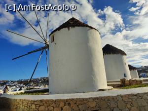 [P02] Morile de vânt din Mykonos » foto by crismis
 - 
<span class="allrVoted glyphicon glyphicon-heart hidden" id="av1423064"></span>
<a class="m-l-10 hidden" id="sv1423064" onclick="voting_Foto_DelVot(,1423064,1176)" role="button">șterge vot <span class="glyphicon glyphicon-remove"></span></a>
<a id="v91423064" class=" c-red"  onclick="voting_Foto_SetVot(1423064)" role="button"><span class="glyphicon glyphicon-heart-empty"></span> <b>LIKE</b> = Votează poza</a> <img class="hidden"  id="f1423064W9" src="/imagini/loader.gif" border="0" /><span class="AjErrMes hidden" id="e1423064ErM"></span>