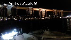 [P14] caracatita din portul Ornos » foto by mirunat
 - 
<span class="allrVoted glyphicon glyphicon-heart hidden" id="av897098"></span>
<a class="m-l-10 hidden" id="sv897098" onclick="voting_Foto_DelVot(,897098,1176)" role="button">șterge vot <span class="glyphicon glyphicon-remove"></span></a>
<a id="v9897098" class=" c-red"  onclick="voting_Foto_SetVot(897098)" role="button"><span class="glyphicon glyphicon-heart-empty"></span> <b>LIKE</b> = Votează poza</a> <img class="hidden"  id="f897098W9" src="/imagini/loader.gif" border="0" /><span class="AjErrMes hidden" id="e897098ErM"></span>