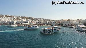 [P09] Mykonos town » foto by zuftim
 - 
<span class="allrVoted glyphicon glyphicon-heart hidden" id="av534309"></span>
<a class="m-l-10 hidden" id="sv534309" onclick="voting_Foto_DelVot(,534309,1176)" role="button">șterge vot <span class="glyphicon glyphicon-remove"></span></a>
<a id="v9534309" class=" c-red"  onclick="voting_Foto_SetVot(534309)" role="button"><span class="glyphicon glyphicon-heart-empty"></span> <b>LIKE</b> = Votează poza</a> <img class="hidden"  id="f534309W9" src="/imagini/loader.gif" border="0" /><span class="AjErrMes hidden" id="e534309ErM"></span>