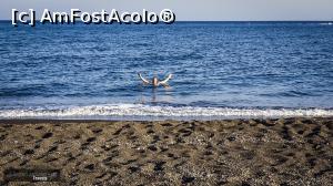 [P13] Cam asta-i distanța maximă pentru cei care nu știu să înnoate :)  » foto by webSorin
 - 
<span class="allrVoted glyphicon glyphicon-heart hidden" id="av1134147"></span>
<a class="m-l-10 hidden" id="sv1134147" onclick="voting_Foto_DelVot(,1134147,1177)" role="button">șterge vot <span class="glyphicon glyphicon-remove"></span></a>
<a id="v91134147" class=" c-red"  onclick="voting_Foto_SetVot(1134147)" role="button"><span class="glyphicon glyphicon-heart-empty"></span> <b>LIKE</b> = Votează poza</a> <img class="hidden"  id="f1134147W9" src="/imagini/loader.gif" border="0" /><span class="AjErrMes hidden" id="e1134147ErM"></span>