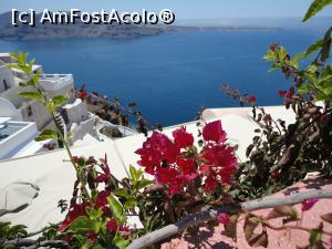 [P12] Printre flori... Oia » foto by maryka
 - 
<span class="allrVoted glyphicon glyphicon-heart hidden" id="av866232"></span>
<a class="m-l-10 hidden" id="sv866232" onclick="voting_Foto_DelVot(,866232,1177)" role="button">șterge vot <span class="glyphicon glyphicon-remove"></span></a>
<a id="v9866232" class=" c-red"  onclick="voting_Foto_SetVot(866232)" role="button"><span class="glyphicon glyphicon-heart-empty"></span> <b>LIKE</b> = Votează poza</a> <img class="hidden"  id="f866232W9" src="/imagini/loader.gif" border="0" /><span class="AjErrMes hidden" id="e866232ErM"></span>