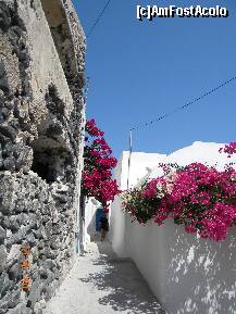 [P26] Straduta tipica pentru Santorini in Pyrgos, satul cetate » foto by bitnic
 - 
<span class="allrVoted glyphicon glyphicon-heart hidden" id="av260368"></span>
<a class="m-l-10 hidden" id="sv260368" onclick="voting_Foto_DelVot(,260368,1177)" role="button">șterge vot <span class="glyphicon glyphicon-remove"></span></a>
<a id="v9260368" class=" c-red"  onclick="voting_Foto_SetVot(260368)" role="button"><span class="glyphicon glyphicon-heart-empty"></span> <b>LIKE</b> = Votează poza</a> <img class="hidden"  id="f260368W9" src="/imagini/loader.gif" border="0" /><span class="AjErrMes hidden" id="e260368ErM"></span>