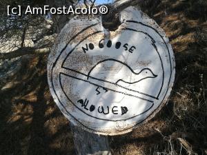 [P43] Firma stabilimentului » foto by crismis
 - 
<span class="allrVoted glyphicon glyphicon-heart hidden" id="av1040478"></span>
<a class="m-l-10 hidden" id="sv1040478" onclick="voting_Foto_DelVot(,1040478,1177)" role="button">șterge vot <span class="glyphicon glyphicon-remove"></span></a>
<a id="v91040478" class=" c-red"  onclick="voting_Foto_SetVot(1040478)" role="button"><span class="glyphicon glyphicon-heart-empty"></span> <b>LIKE</b> = Votează poza</a> <img class="hidden"  id="f1040478W9" src="/imagini/loader.gif" border="0" /><span class="AjErrMes hidden" id="e1040478ErM"></span>