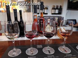 [P34] Si daca ne-am lamurit cum se face vinul, a venit vremea sa-l si gustam » foto by DOINITA
 - 
<span class="allrVoted glyphicon glyphicon-heart hidden" id="av1135380"></span>
<a class="m-l-10 hidden" id="sv1135380" onclick="voting_Foto_DelVot(,1135380,1177)" role="button">șterge vot <span class="glyphicon glyphicon-remove"></span></a>
<a id="v91135380" class=" c-red"  onclick="voting_Foto_SetVot(1135380)" role="button"><span class="glyphicon glyphicon-heart-empty"></span> <b>LIKE</b> = Votează poza</a> <img class="hidden"  id="f1135380W9" src="/imagini/loader.gif" border="0" /><span class="AjErrMes hidden" id="e1135380ErM"></span>