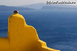 [P20]  -- <small>// FĂRĂ DESCRIERE</small> » foto by MaraS
 - 
<span class="allrVoted glyphicon glyphicon-heart hidden" id="av563343"></span>
<a class="m-l-10 hidden" id="sv563343" onclick="voting_Foto_DelVot(,563343,1177)" role="button">șterge vot <span class="glyphicon glyphicon-remove"></span></a>
<a id="v9563343" class=" c-red"  onclick="voting_Foto_SetVot(563343)" role="button"><span class="glyphicon glyphicon-heart-empty"></span> <b>LIKE</b> = Votează poza</a> <img class="hidden"  id="f563343W9" src="/imagini/loader.gif" border="0" /><span class="AjErrMes hidden" id="e563343ErM"></span>