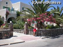[P04] Arhitectura si vegetatie specifice insulei Santorini » foto by ancamariagadea*
 - 
<span class="allrVoted glyphicon glyphicon-heart hidden" id="av36018"></span>
<a class="m-l-10 hidden" id="sv36018" onclick="voting_Foto_DelVot(,36018,1177)" role="button">șterge vot <span class="glyphicon glyphicon-remove"></span></a>
<a id="v936018" class=" c-red"  onclick="voting_Foto_SetVot(36018)" role="button"><span class="glyphicon glyphicon-heart-empty"></span> <b>LIKE</b> = Votează poza</a> <img class="hidden"  id="f36018W9" src="/imagini/loader.gif" border="0" /><span class="AjErrMes hidden" id="e36018ErM"></span>