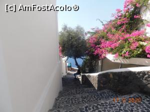 [P28] Din Oia » foto by irinad
 - 
<span class="allrVoted glyphicon glyphicon-heart hidden" id="av1199541"></span>
<a class="m-l-10 hidden" id="sv1199541" onclick="voting_Foto_DelVot(,1199541,1177)" role="button">șterge vot <span class="glyphicon glyphicon-remove"></span></a>
<a id="v91199541" class=" c-red"  onclick="voting_Foto_SetVot(1199541)" role="button"><span class="glyphicon glyphicon-heart-empty"></span> <b>LIKE</b> = Votează poza</a> <img class="hidden"  id="f1199541W9" src="/imagini/loader.gif" border="0" /><span class="AjErrMes hidden" id="e1199541ErM"></span>