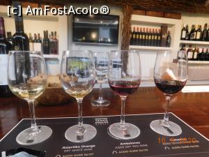 [P11] Cele patru soiuri de vin » foto by irinad
 - 
<span class="allrVoted glyphicon glyphicon-heart hidden" id="av1212772"></span>
<a class="m-l-10 hidden" id="sv1212772" onclick="voting_Foto_DelVot(,1212772,1177)" role="button">șterge vot <span class="glyphicon glyphicon-remove"></span></a>
<a id="v91212772" class=" c-red"  onclick="voting_Foto_SetVot(1212772)" role="button"><span class="glyphicon glyphicon-heart-empty"></span> <b>LIKE</b> = Votează poza</a> <img class="hidden"  id="f1212772W9" src="/imagini/loader.gif" border="0" /><span class="AjErrMes hidden" id="e1212772ErM"></span>