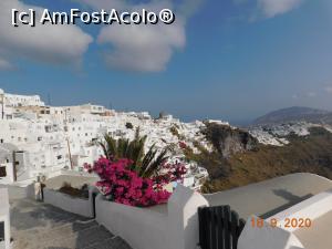 [P02] Din Imerovigli, o frumoasă bougainvillea » foto by irinad
 - 
<span class="allrVoted glyphicon glyphicon-heart hidden" id="av1213785"></span>
<a class="m-l-10 hidden" id="sv1213785" onclick="voting_Foto_DelVot(,1213785,1177)" role="button">șterge vot <span class="glyphicon glyphicon-remove"></span></a>
<a id="v91213785" class=" c-red"  onclick="voting_Foto_SetVot(1213785)" role="button"><span class="glyphicon glyphicon-heart-empty"></span> <b>LIKE</b> = Votează poza</a> <img class="hidden"  id="f1213785W9" src="/imagini/loader.gif" border="0" /><span class="AjErrMes hidden" id="e1213785ErM"></span>