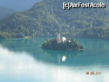 [P31] singura insula naturala din Slovenia » foto by Alina Morar
 - 
<span class="allrVoted glyphicon glyphicon-heart hidden" id="av250482"></span>
<a class="m-l-10 hidden" id="sv250482" onclick="voting_Foto_DelVot(,250482,1181)" role="button">șterge vot <span class="glyphicon glyphicon-remove"></span></a>
<a id="v9250482" class=" c-red"  onclick="voting_Foto_SetVot(250482)" role="button"><span class="glyphicon glyphicon-heart-empty"></span> <b>LIKE</b> = Votează poza</a> <img class="hidden"  id="f250482W9" src="/imagini/loader.gif" border="0" /><span class="AjErrMes hidden" id="e250482ErM"></span>