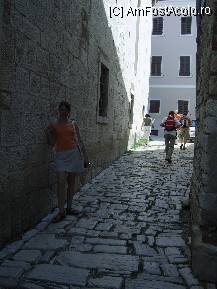 [P17]  -- <small>// FĂRĂ DESCRIERE</small> » foto by Silvie
 - 
<span class="allrVoted glyphicon glyphicon-heart hidden" id="av119571"></span>
<a class="m-l-10 hidden" id="sv119571" onclick="voting_Foto_DelVot(,119571,1184)" role="button">șterge vot <span class="glyphicon glyphicon-remove"></span></a>
<a id="v9119571" class=" c-red"  onclick="voting_Foto_SetVot(119571)" role="button"><span class="glyphicon glyphicon-heart-empty"></span> <b>LIKE</b> = Votează poza</a> <img class="hidden"  id="f119571W9" src="/imagini/loader.gif" border="0" /><span class="AjErrMes hidden" id="e119571ErM"></span>