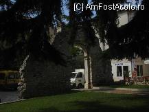 [P19]  -- <small>// FĂRĂ DESCRIERE</small> » foto by Silvie
 - 
<span class="allrVoted glyphicon glyphicon-heart hidden" id="av119573"></span>
<a class="m-l-10 hidden" id="sv119573" onclick="voting_Foto_DelVot(,119573,1184)" role="button">șterge vot <span class="glyphicon glyphicon-remove"></span></a>
<a id="v9119573" class=" c-red"  onclick="voting_Foto_SetVot(119573)" role="button"><span class="glyphicon glyphicon-heart-empty"></span> <b>LIKE</b> = Votează poza</a> <img class="hidden"  id="f119573W9" src="/imagini/loader.gif" border="0" /><span class="AjErrMes hidden" id="e119573ErM"></span>
