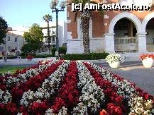 [P19] UN ARANJAMENT FLORAR » foto by licuta_73*
 - 
<span class="allrVoted glyphicon glyphicon-heart hidden" id="av216181"></span>
<a class="m-l-10 hidden" id="sv216181" onclick="voting_Foto_DelVot(,216181,1184)" role="button">șterge vot <span class="glyphicon glyphicon-remove"></span></a>
<a id="v9216181" class=" c-red"  onclick="voting_Foto_SetVot(216181)" role="button"><span class="glyphicon glyphicon-heart-empty"></span> <b>LIKE</b> = Votează poza</a> <img class="hidden"  id="f216181W9" src="/imagini/loader.gif" border="0" /><span class="AjErrMes hidden" id="e216181ErM"></span>