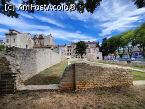 [P42] Ruine ceva mai noi în Pula - foste case ce au fost bombardate în WW2 » foto by crismis
 - 
<span class="allrVoted glyphicon glyphicon-heart hidden" id="av1351013"></span>
<a class="m-l-10 hidden" id="sv1351013" onclick="voting_Foto_DelVot(,1351013,1185)" role="button">șterge vot <span class="glyphicon glyphicon-remove"></span></a>
<a id="v91351013" class=" c-red"  onclick="voting_Foto_SetVot(1351013)" role="button"><span class="glyphicon glyphicon-heart-empty"></span> <b>LIKE</b> = Votează poza</a> <img class="hidden"  id="f1351013W9" src="/imagini/loader.gif" border="0" /><span class="AjErrMes hidden" id="e1351013ErM"></span>