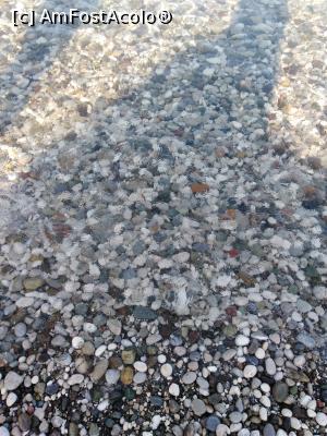 [P03] Apa limpede a mării » foto by MarinaCo
 - 
<span class="allrVoted glyphicon glyphicon-heart hidden" id="av1282539"></span>
<a class="m-l-10 hidden" id="sv1282539" onclick="voting_Foto_DelVot(,1282539,1187)" role="button">șterge vot <span class="glyphicon glyphicon-remove"></span></a>
<a id="v91282539" class=" c-red"  onclick="voting_Foto_SetVot(1282539)" role="button"><span class="glyphicon glyphicon-heart-empty"></span> <b>LIKE</b> = Votează poza</a> <img class="hidden"  id="f1282539W9" src="/imagini/loader.gif" border="0" /><span class="AjErrMes hidden" id="e1282539ErM"></span>