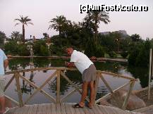 [P11] Prin parcul care despartea hotelul de plaja » foto by yuly68*
 - 
<span class="allrVoted glyphicon glyphicon-heart hidden" id="av386129"></span>
<a class="m-l-10 hidden" id="sv386129" onclick="voting_Foto_DelVot(,386129,1187)" role="button">șterge vot <span class="glyphicon glyphicon-remove"></span></a>
<a id="v9386129" class=" c-red"  onclick="voting_Foto_SetVot(386129)" role="button"><span class="glyphicon glyphicon-heart-empty"></span> <b>LIKE</b> = Votează poza</a> <img class="hidden"  id="f386129W9" src="/imagini/loader.gif" border="0" /><span class="AjErrMes hidden" id="e386129ErM"></span>
