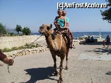 [P03] O mica plimbare cu camila » foto by yuly68*
 - 
<span class="allrVoted glyphicon glyphicon-heart hidden" id="av386121"></span>
<a class="m-l-10 hidden" id="sv386121" onclick="voting_Foto_DelVot(,386121,1187)" role="button">șterge vot <span class="glyphicon glyphicon-remove"></span></a>
<a id="v9386121" class=" c-red"  onclick="voting_Foto_SetVot(386121)" role="button"><span class="glyphicon glyphicon-heart-empty"></span> <b>LIKE</b> = Votează poza</a> <img class="hidden"  id="f386121W9" src="/imagini/loader.gif" border="0" /><span class="AjErrMes hidden" id="e386121ErM"></span>