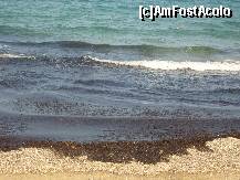 [P01] algele de pe plaja din fata hotelului » foto by Klara30
 - 
<span class="allrVoted glyphicon glyphicon-heart hidden" id="av214153"></span>
<a class="m-l-10 hidden" id="sv214153" onclick="voting_Foto_DelVot(,214153,1198)" role="button">șterge vot <span class="glyphicon glyphicon-remove"></span></a>
<a id="v9214153" class=" c-red"  onclick="voting_Foto_SetVot(214153)" role="button"><span class="glyphicon glyphicon-heart-empty"></span> <b>LIKE</b> = Votează poza</a> <img class="hidden"  id="f214153W9" src="/imagini/loader.gif" border="0" /><span class="AjErrMes hidden" id="e214153ErM"></span>