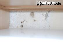 [P02] renovarea s-o fi facut...cu unele exceptii » foto by oscar
 - 
<span class="allrVoted glyphicon glyphicon-heart hidden" id="av224264"></span>
<a class="m-l-10 hidden" id="sv224264" onclick="voting_Foto_DelVot(,224264,1198)" role="button">șterge vot <span class="glyphicon glyphicon-remove"></span></a>
<a id="v9224264" class=" c-red"  onclick="voting_Foto_SetVot(224264)" role="button"><span class="glyphicon glyphicon-heart-empty"></span> <b>LIKE</b> = Votează poza</a> <img class="hidden"  id="f224264W9" src="/imagini/loader.gif" border="0" /><span class="AjErrMes hidden" id="e224264ErM"></span>