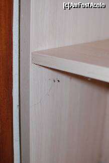 [P04] un paianjen mic nu sperie pe nimeni,nu?era colocatar » foto by oscar
 - 
<span class="allrVoted glyphicon glyphicon-heart hidden" id="av224266"></span>
<a class="m-l-10 hidden" id="sv224266" onclick="voting_Foto_DelVot(,224266,1198)" role="button">șterge vot <span class="glyphicon glyphicon-remove"></span></a>
<a id="v9224266" class=" c-red"  onclick="voting_Foto_SetVot(224266)" role="button"><span class="glyphicon glyphicon-heart-empty"></span> <b>LIKE</b> = Votează poza</a> <img class="hidden"  id="f224266W9" src="/imagini/loader.gif" border="0" /><span class="AjErrMes hidden" id="e224266ErM"></span>